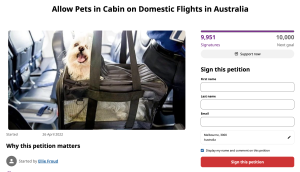 A screenshot of a Change.org petition titled “Allow Pets in Cabin on Domestic Flights in Australia”, showing a white dog in a pet carrier on a plane seat and highlighting 9,951 signatures out of a 10,000 goal.